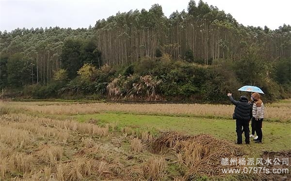 玉树藏族自治州陈老师带着爱徒寻龙点穴